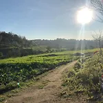 Quinta Do Ovelheiro * Гимарайнш