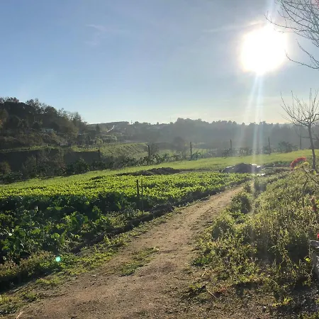 Quinta Do Ovelheiro * Гимарайнш