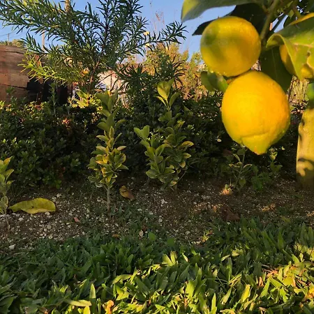 Quinta Do Ovelheiro Tatil Evi Guimarães
