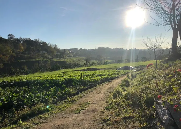 Quinta Do Ovelheiro * Guimarães