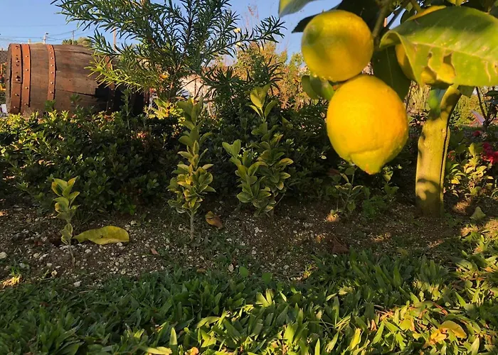 Quinta Do Ovelheiro Tatil Evi Guimarães